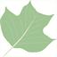 littlefallcreek.com