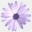 clappcommunications.com