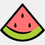 cvj.ro
