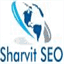 sharvit-seo.com