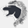 greylion.com