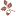 cncppd.org
