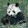 powerpiggy.wordpress.com