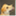 griffinicus.com