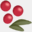 cranberries.org