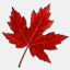 dentals.ca