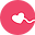 cigine.com
