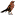 rustybird.com