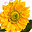 flarange.ru