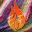 exchangingfire.wordpress.com
