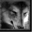 whyigame.wordpress.com