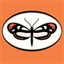 mindprog.com
