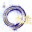 ninelivesstudio.wordpress.com
