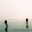 nituk.wordpress.com