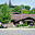 chiltonlibrary.org