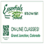 essentialsmassageschool.com