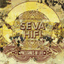 sevahifi.bandcamp.com