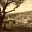 fulbrightfeasting.wordpress.com