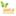 shapeupmelbourne.com