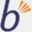 bliasoft.com