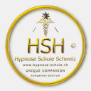 diplomierter-hypnosetherapeut.com