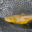 blog.northernfly.com