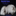 skyfallcats.com