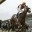 hafeshorsepicks.wordpress.com