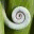 idlechameleon.wordpress.com