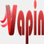 vapin.in