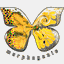 morphogenic.net