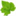 celeritushydroponic.com