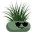 mythreeovens.com