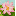 yingsunchen.com
