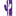 thepurplecactus.com