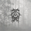 ghostforest.bandcamp.com