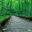 foln.info