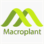 blog.macroplant.com