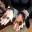 agingstylingly.wordpress.com