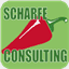scharfe-consulting.com