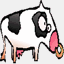 bdmoo.com