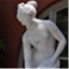 venusrising.com