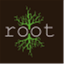 rootoflancaster.com