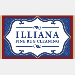 illianafinerugcleaning.com