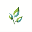 thrive1010.org