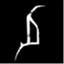 dissonaband.com