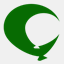 ccsvi-sm.org
