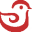 jadeedfeeds.com