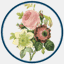 barebranchblooming.com