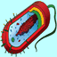 singlecell.sogang.ac.kr